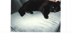 picture005.jpg
